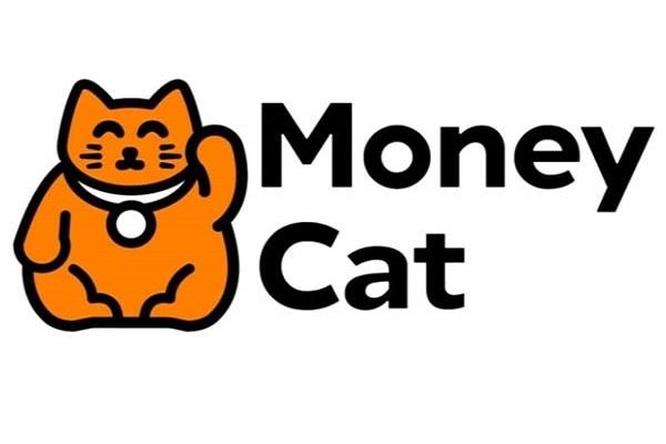 Money-cat