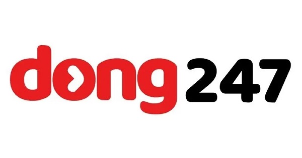 dong247