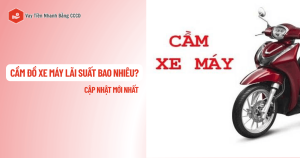 cam do xe may lai suat bao nhieu
